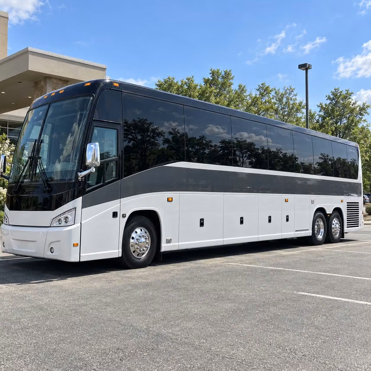 browse charter bus options for scottsdale zoo and wildlife field trips