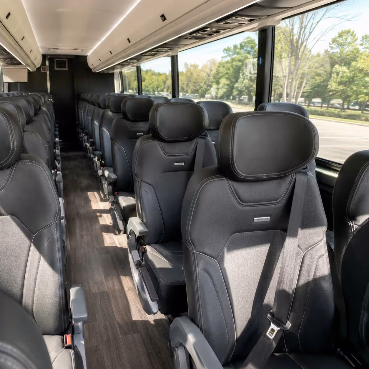 from old town to the open road long distance charter bus trips from scottsdale