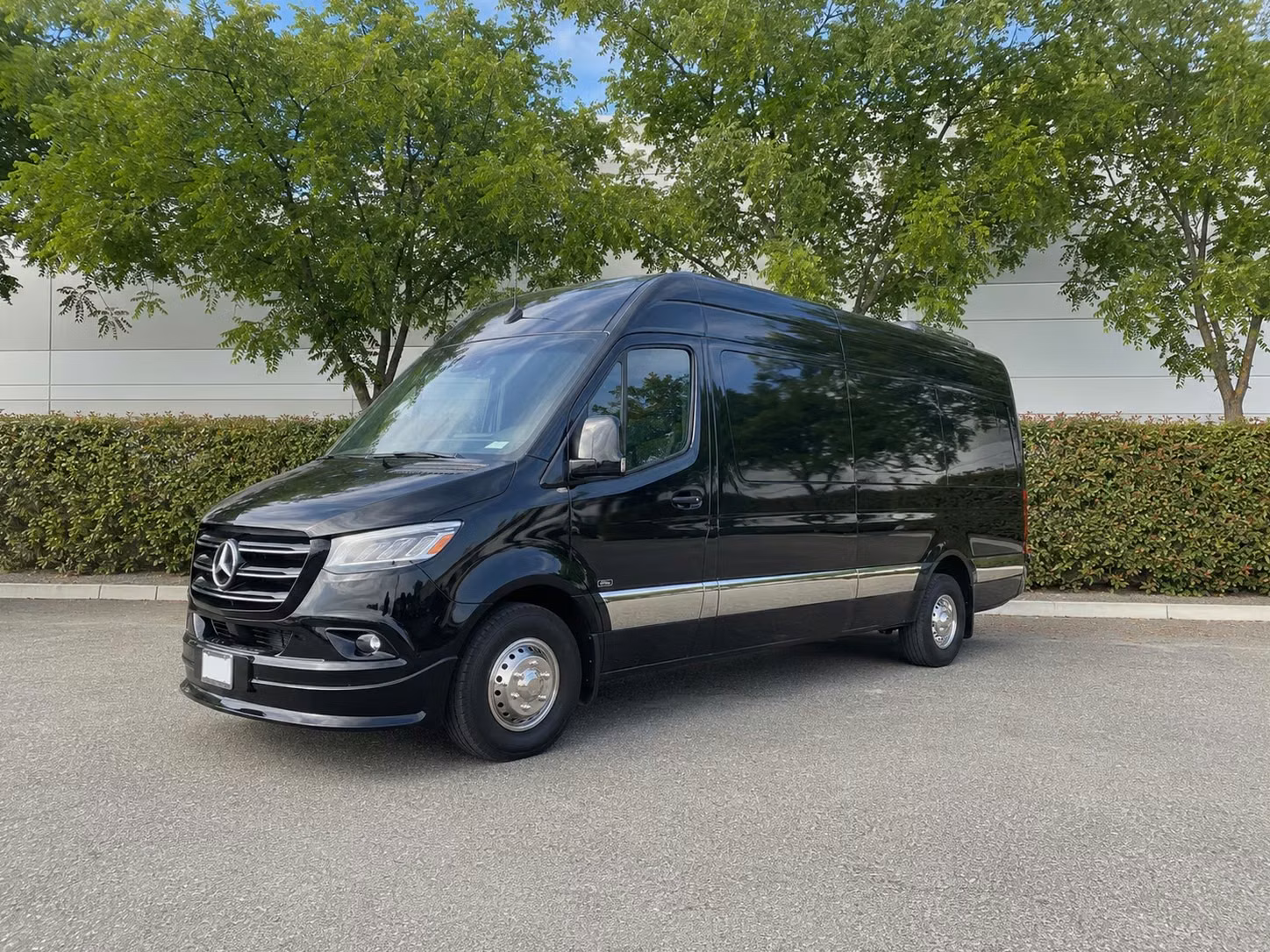 sprinter van with driver